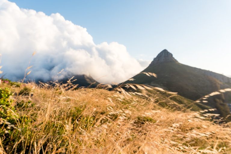 The Thrill of Off-Grid Adventures: Embracing Nature in Your Travels